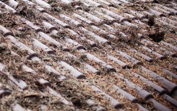 Lidgate roof cleaning companies